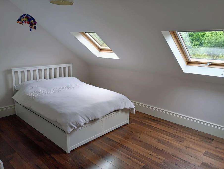 Conveniently Located House To Enjoy All Of Kerry Tralee Ngoại thất bức ảnh
